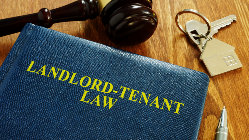 Tenant Assistance: Housing Disrepair Claims Exempt from Cost Limits Until 2028