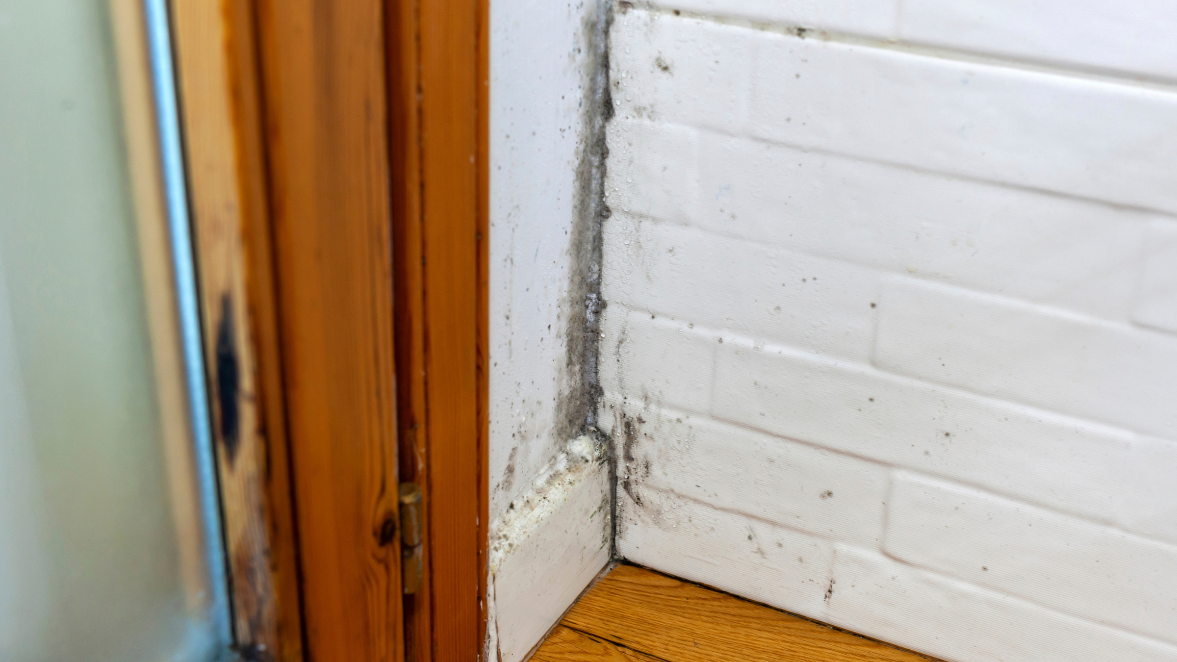Damp and Mould in Social Housing: Legal Rights and Remedies for Tenants