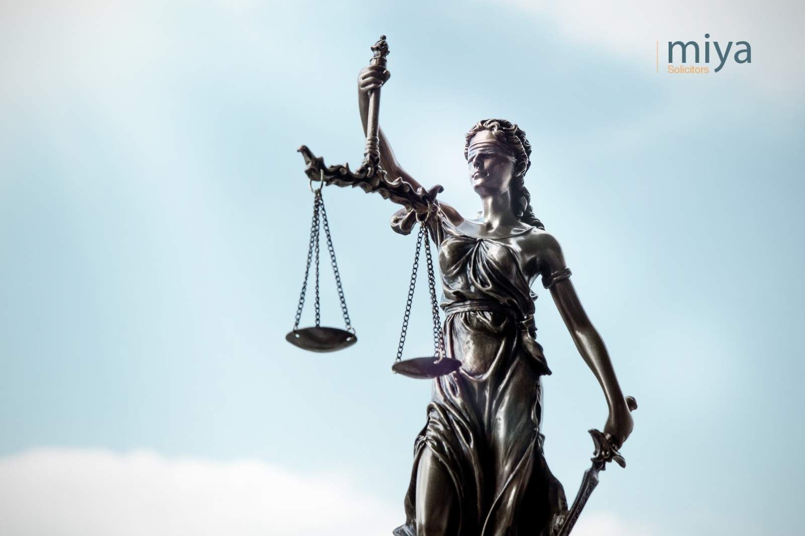 Judicial Review