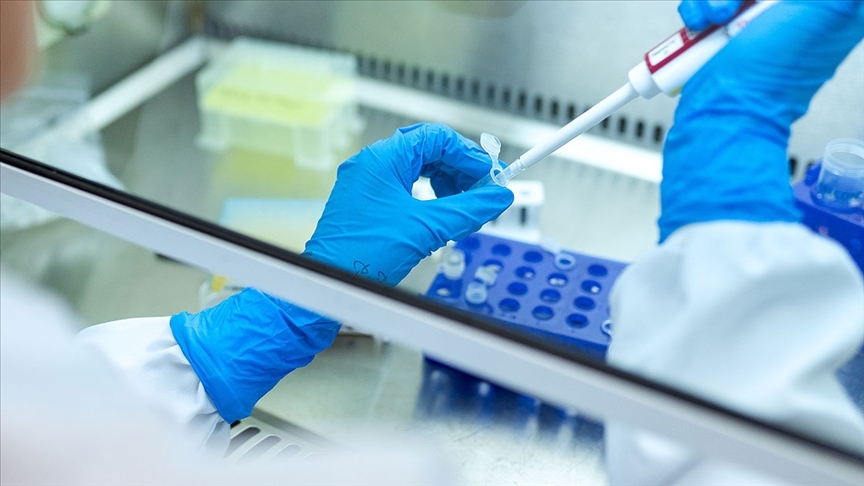 Cancer Negligence: When Treatment Falls Short