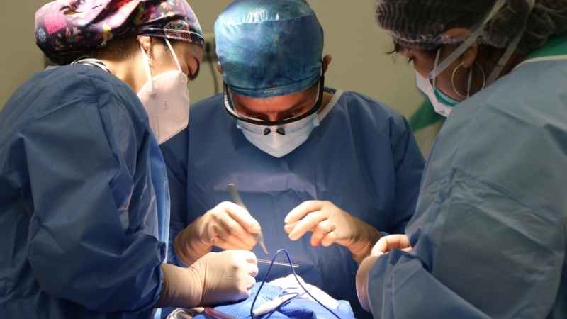 NHS Faces Record Number of Medical Negligence Claims in 2024